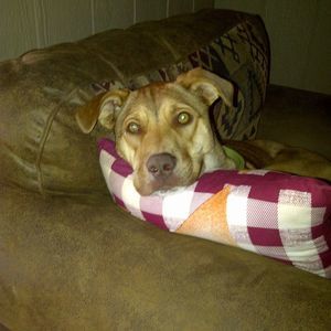 Meet your Posher, Debbie